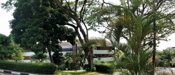 Island View (D5), Condominium #169293762